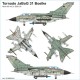 221600341 ETH Arsenal PANAVIA TORNADO ECR - Jagdbombergeschwader Boelke 31 (JaBoG 31) with 2 GBU-24 of German Luftwaffe